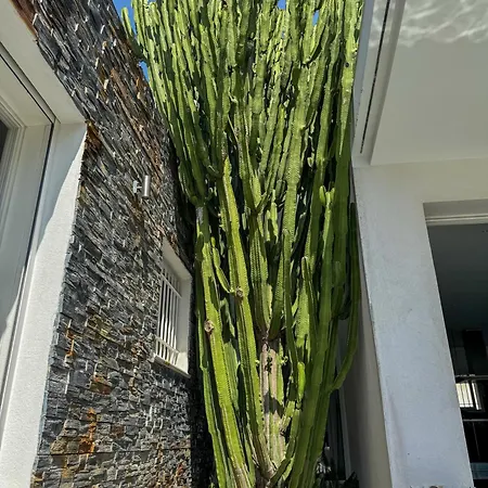 Deluxe & Private - Pool - - Cinema Villa Antibes